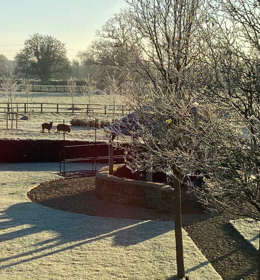 A winter view