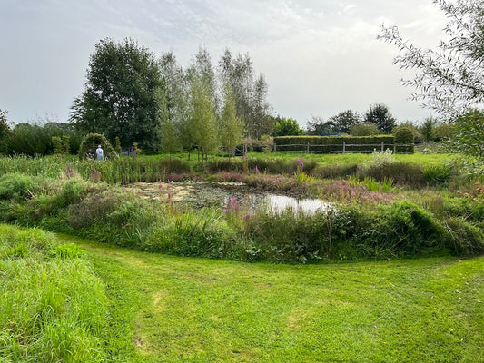 September marks the return to school and the beginning of autumn in the garden