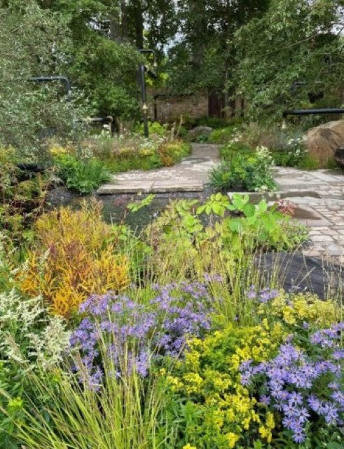 Chelsea Flower