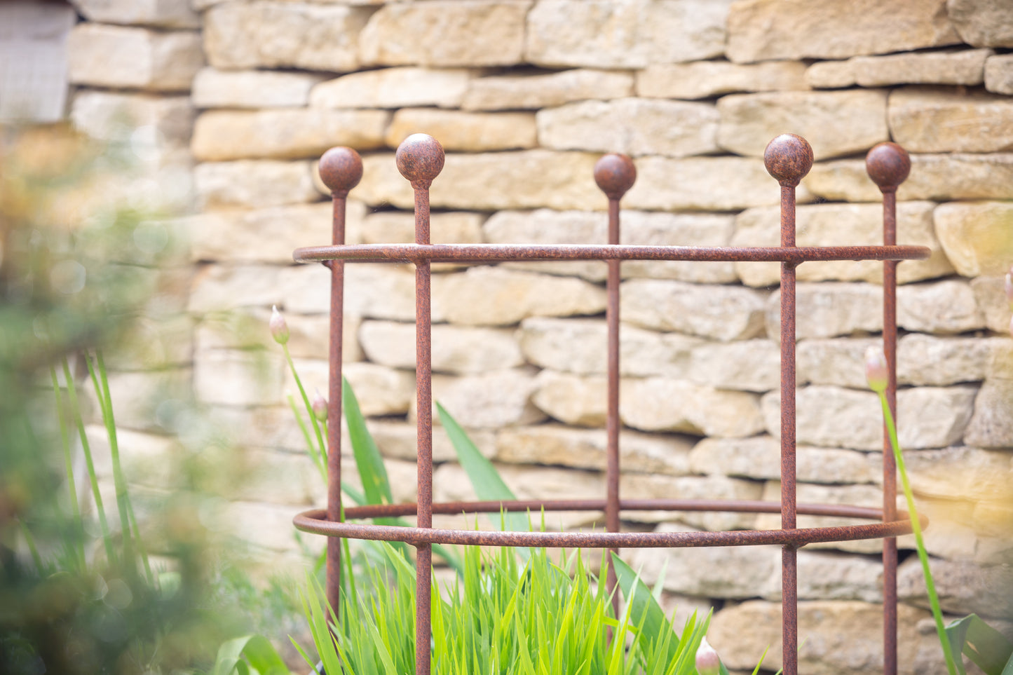 Ring ornamental grass