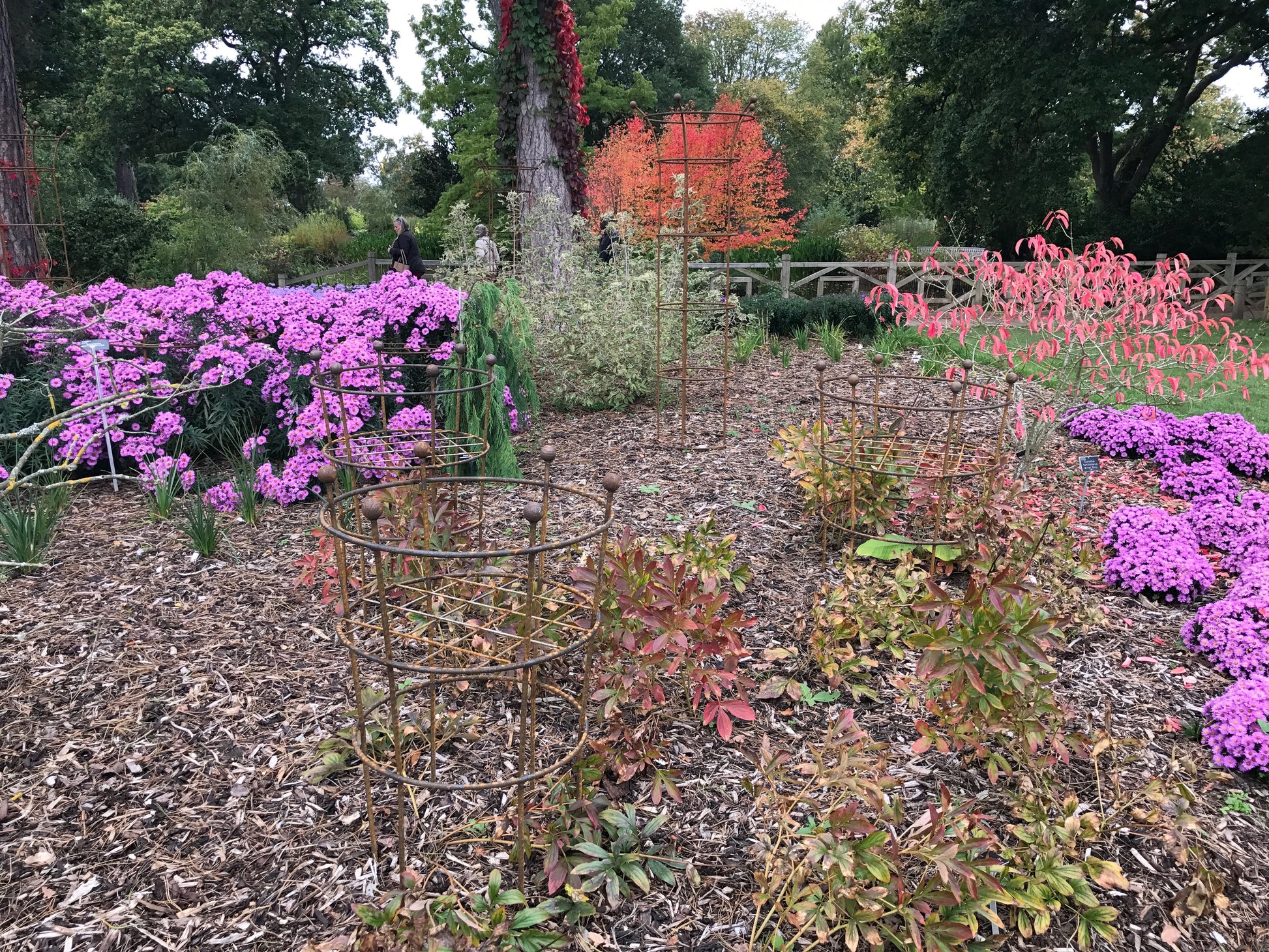 3 Ring grid wisley