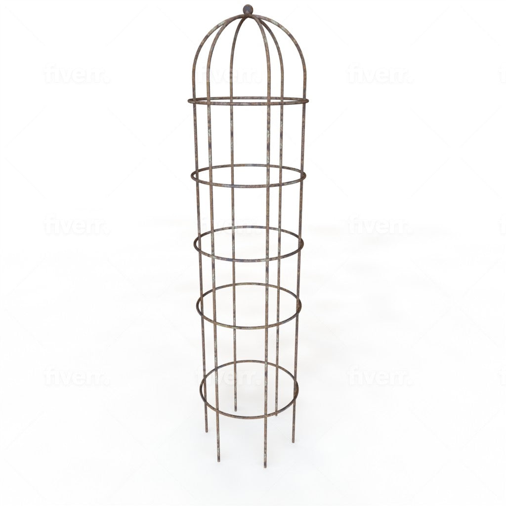 Clematis rose cage medium