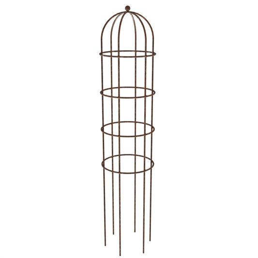 Clematis rose cage medium