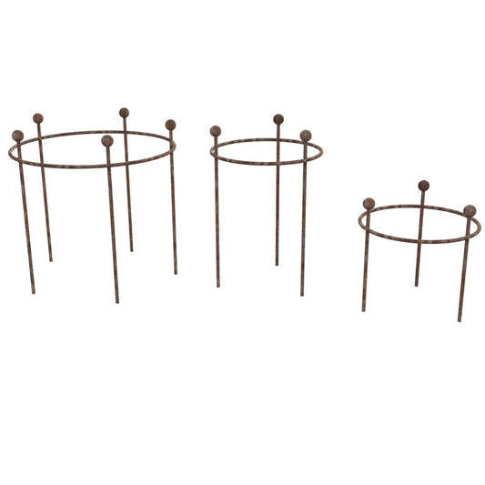 Group of ring herbaceous