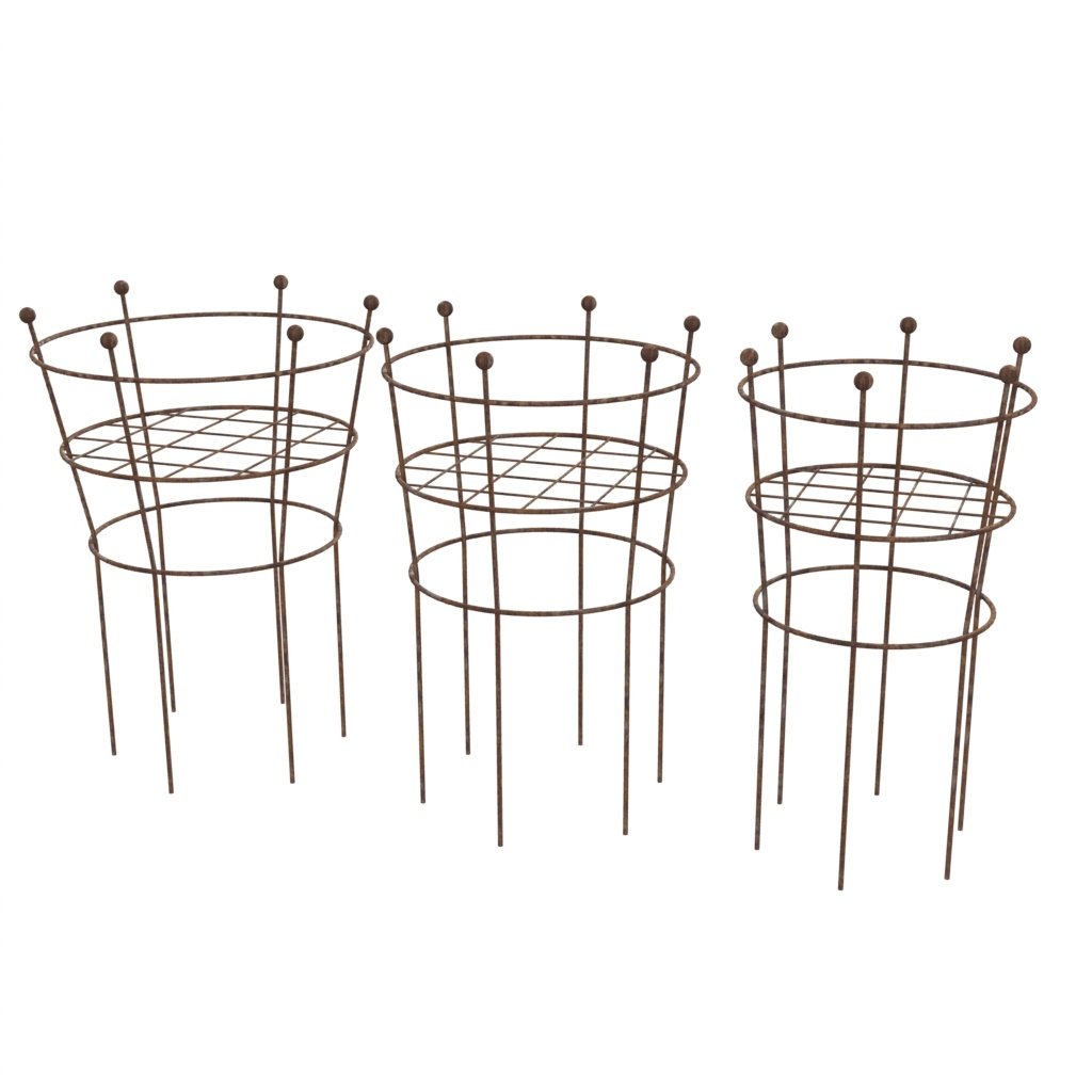 Group of ring herbaceous with grid