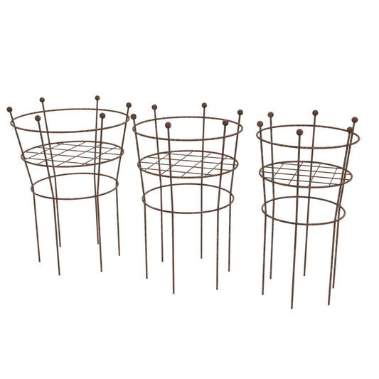 Group of ring herbaceous with grid