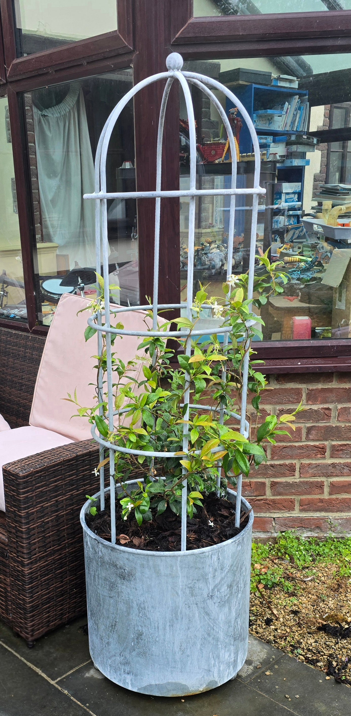Clematis & Rose Cages