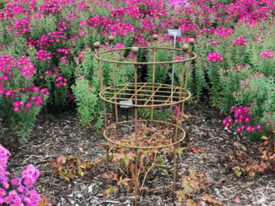 3-ring-herbaceous-supports-with-grid-12mm