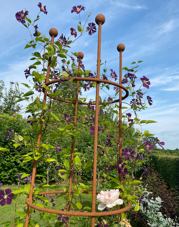 Circular obelisk tall with clematis