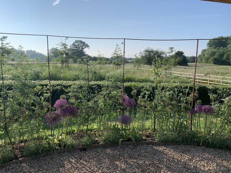 Espalier