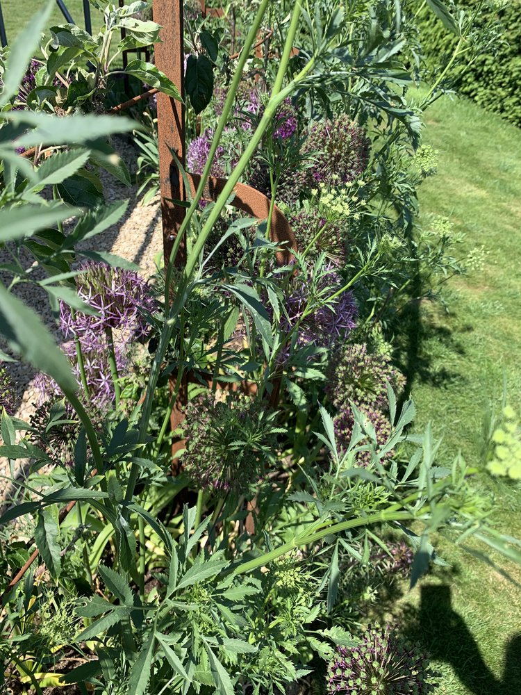 Espalier