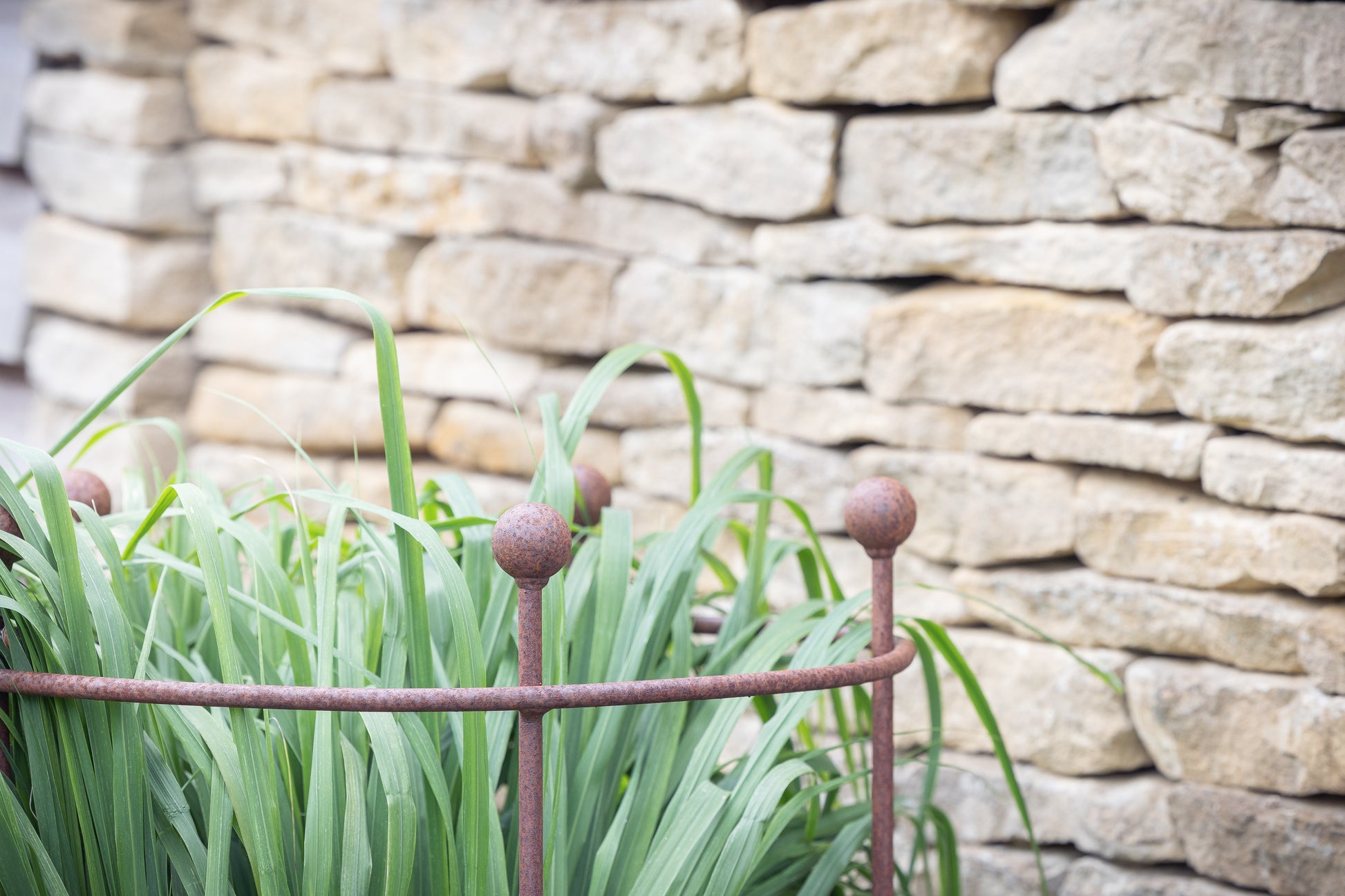 Ornamental grass support