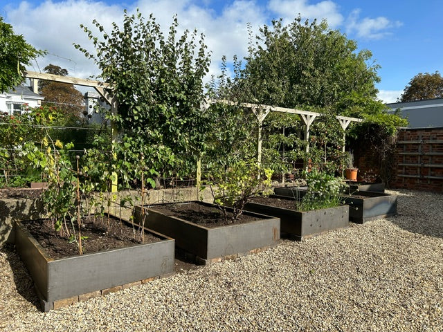 raised beds david currie