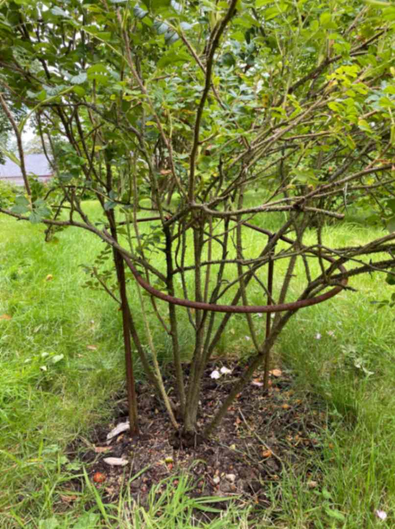 Semi Circular Supports