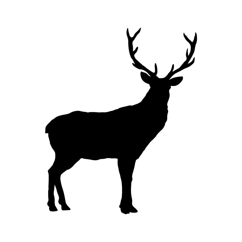 Animal Silhouettes