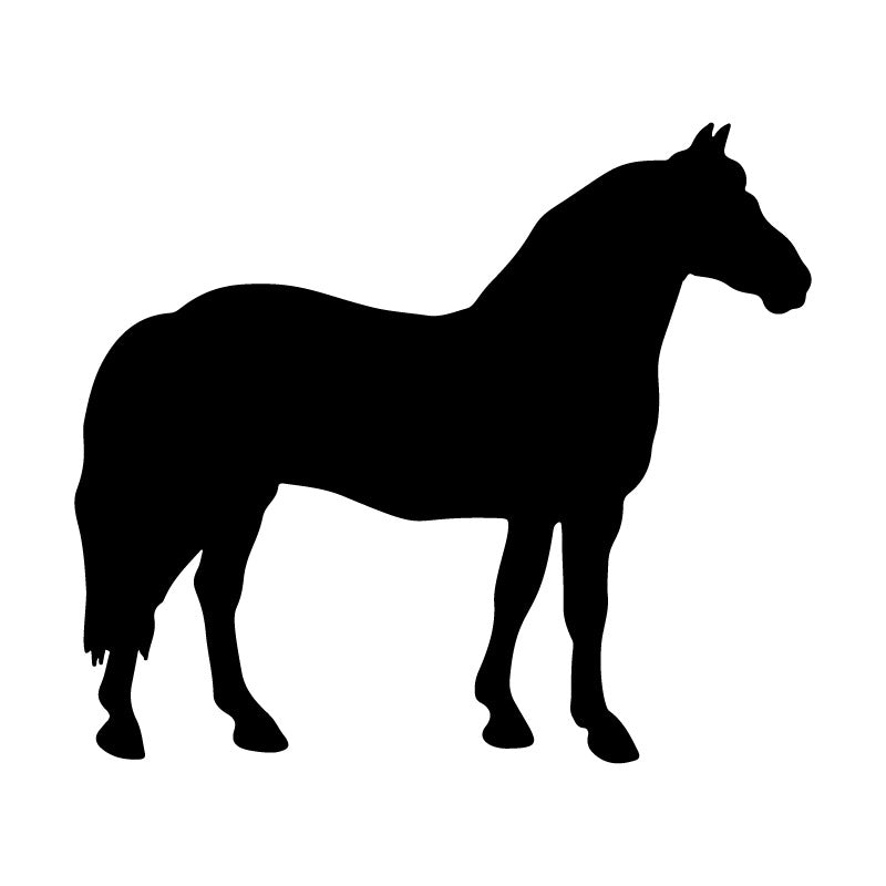 Animal Silhouettes