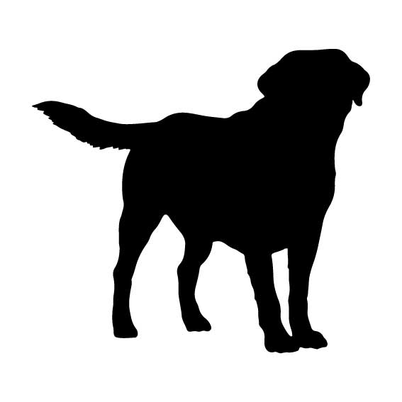 Animal Silhouettes