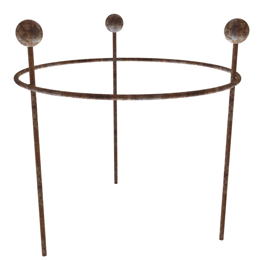 1 ring small herbaceous