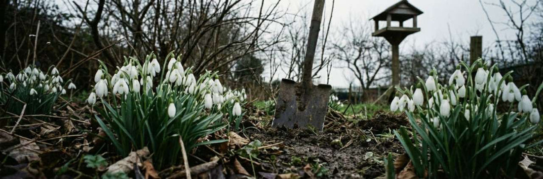 The Shift to Spring Begins — Get Your Garden Ready