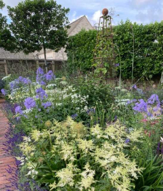 The courtyard garden