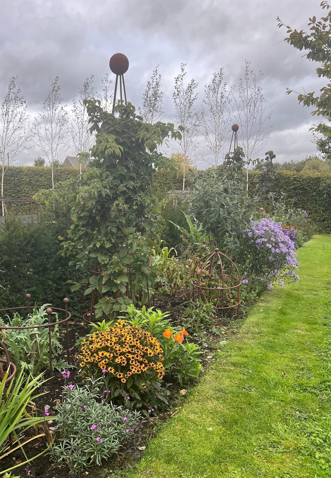 September in the Garden - Tidy, Sow and Support Planting for the Best Five Perennials