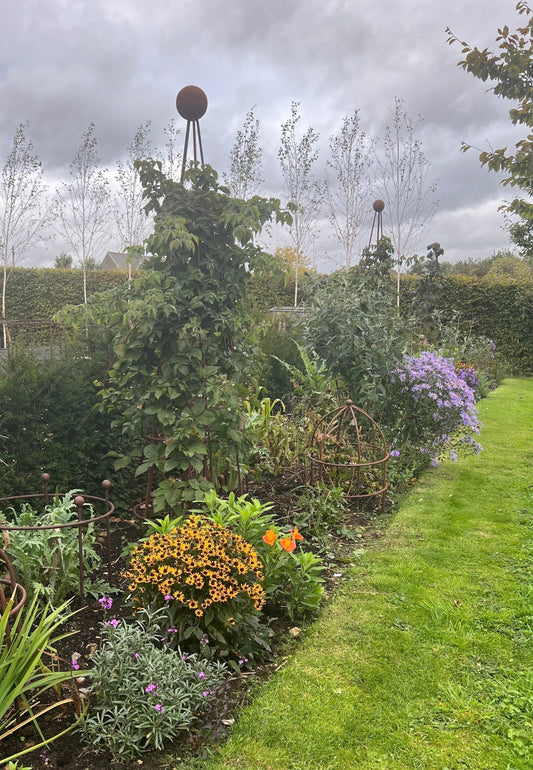 September in the Garden - Tidy, Sow and Support Planting for the Best Five Perennials