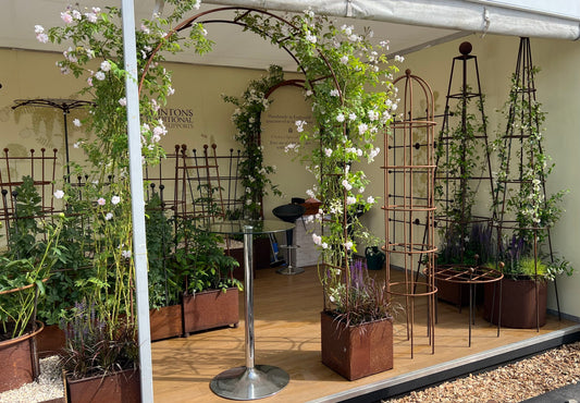 Reflections on RHS Chelsea 2022