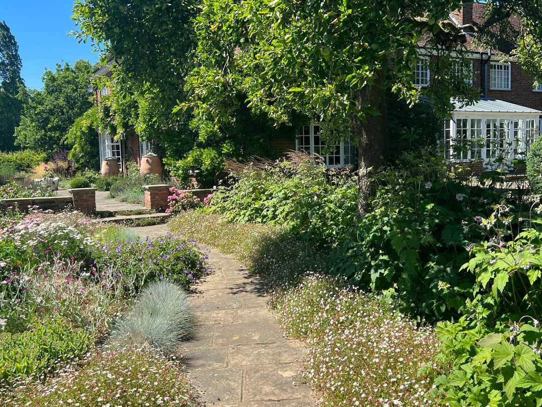 A visit to the NGS People’s Choice Garden