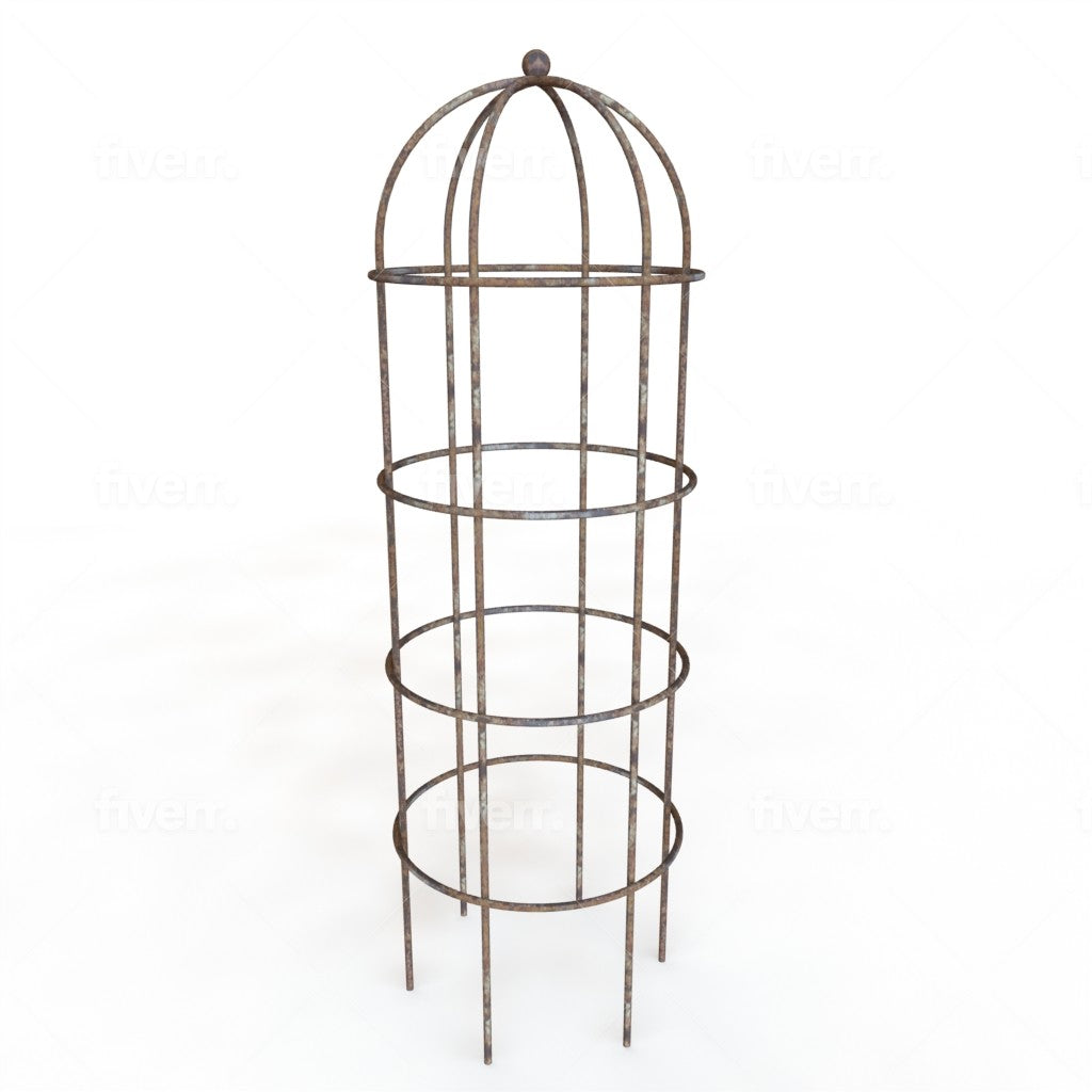 Clematis rose cage short