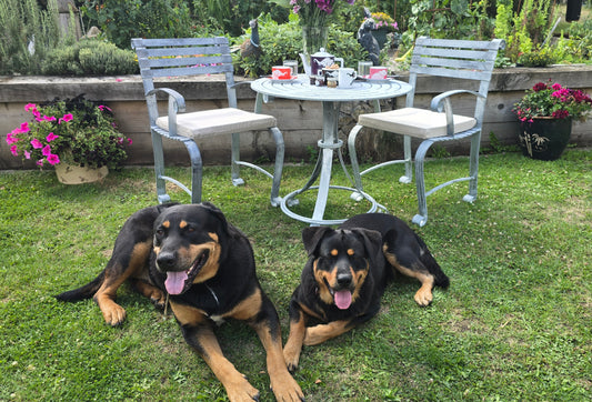 Bibury Bistro Table Sets