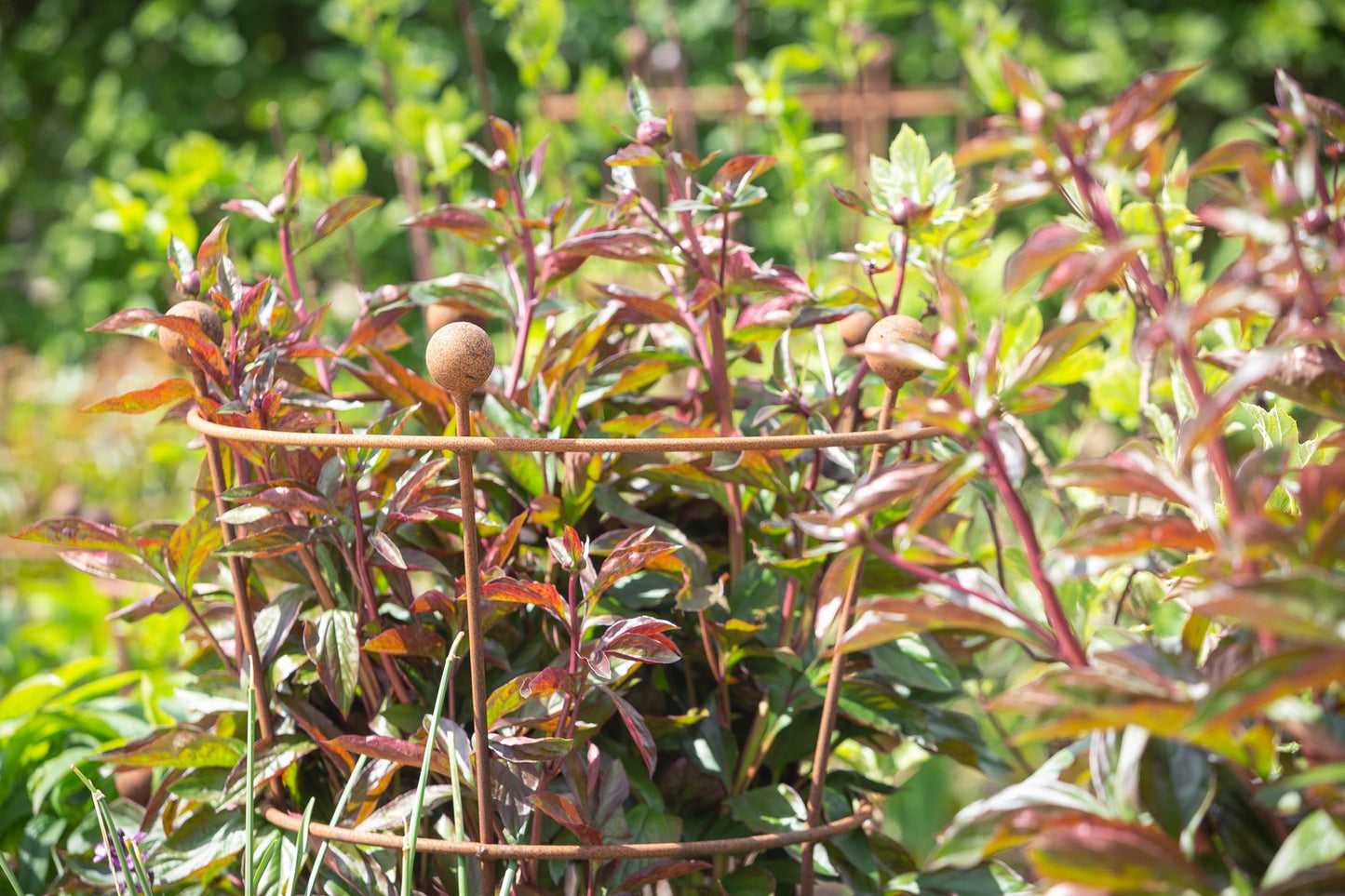 Tall fat peony support