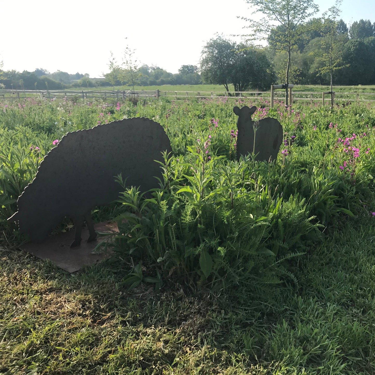 The wild flower garden in may